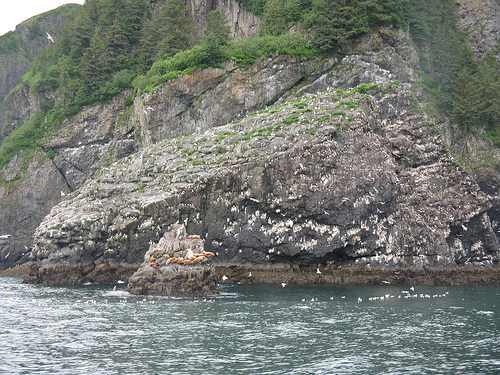 cliff dive