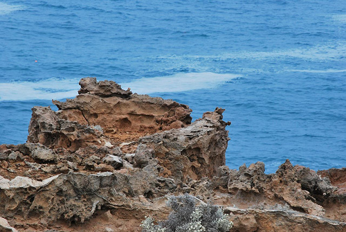 cliff diving