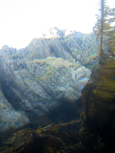 cliff diving