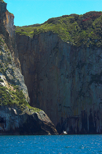 cliff diving