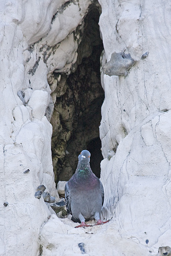 cliff diving